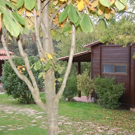 Campsite Ecologic Lava Santa Pau